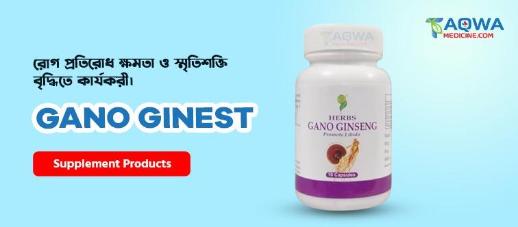 Supplement
